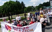 5. Marsz dla Życia i Rodziny w Żywcu - 2023