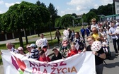 5. Marsz dla Życia i Rodziny w Żywcu - 2023