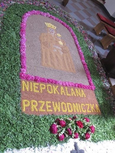 Dywan kwiatowy w sanktuarium maryjnym w Przasnyszu