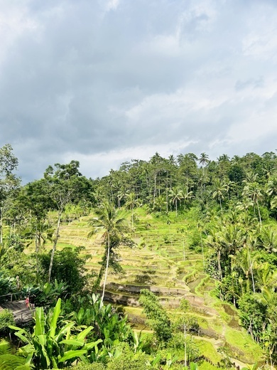 Azja w obiektywie Zosi Matysik