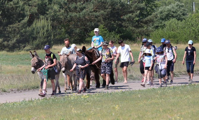 Polskie Camino z osiołkami