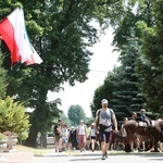 Polskie Camino z osiołkami