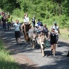 Polskie Camino z osiołkami