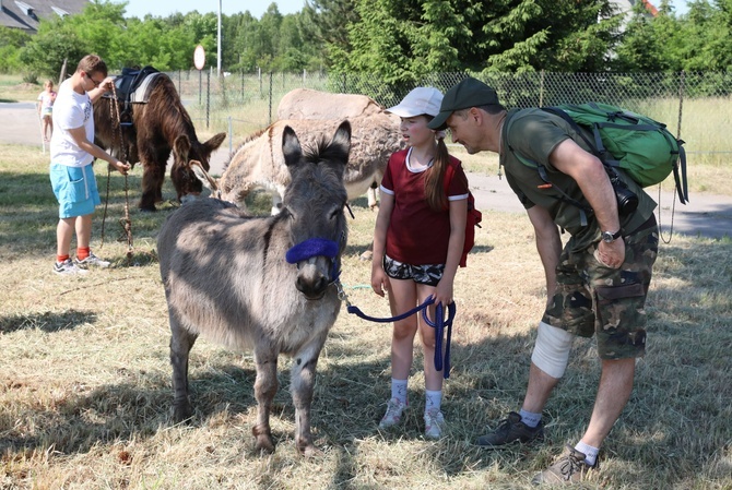 Polskie Camino z osiołkami