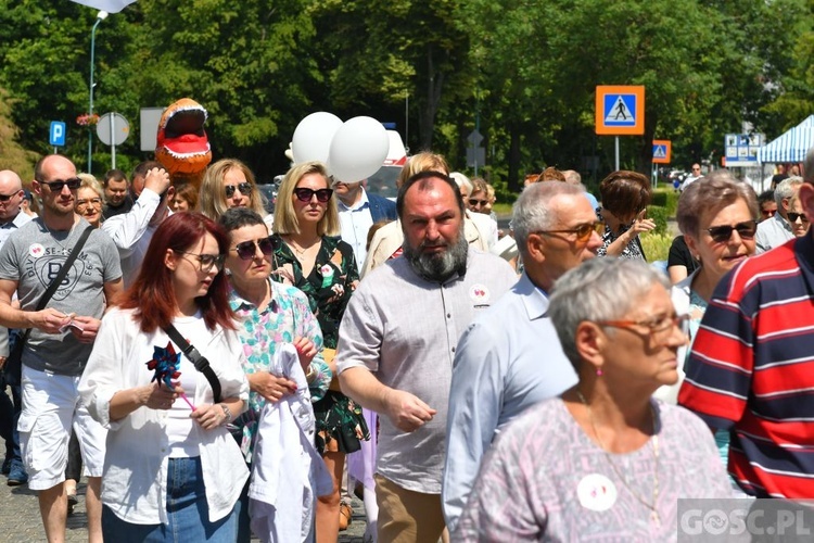 IV Marsz dla Życia i Rodziny w Żarach