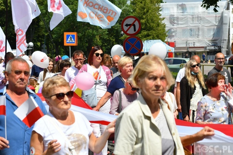 IV Marsz dla Życia i Rodziny w Żarach