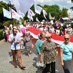 IV Marsz dla Życia i Rodziny w Żarach