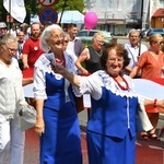 IV Marsz dla Życia i Rodziny w Żarach