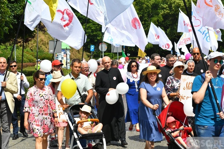 IV Marsz dla Życia i Rodziny w Żarach
