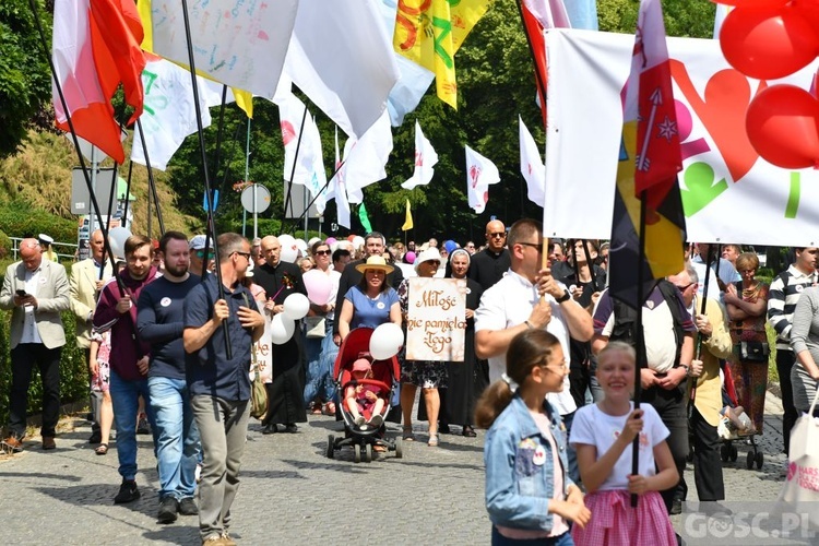 IV Marsz dla Życia i Rodziny w Żarach