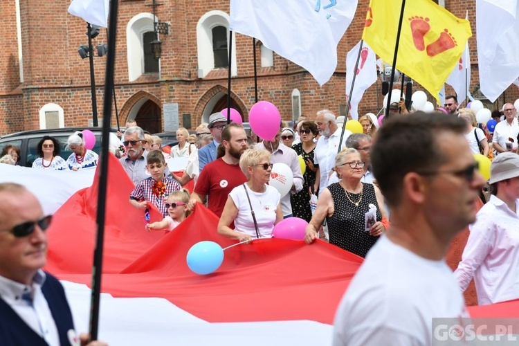 IV Marsz dla Życia i Rodziny w Żarach