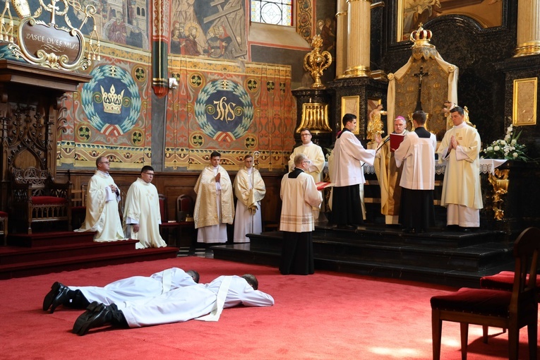 Święcenia kapłańskie w Sandomierzu