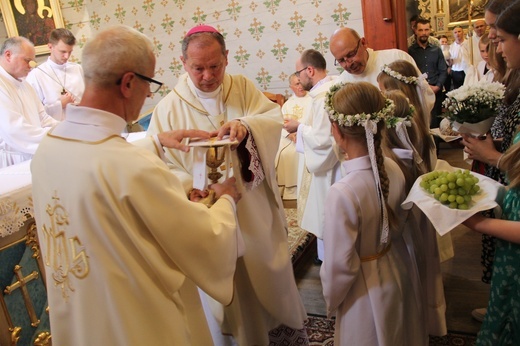 Święcenia diakonatu przyjął w Borowej Wsi Jan Gil