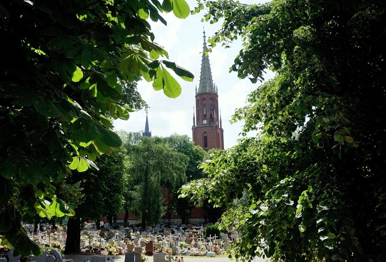 Odpust w 780-lecie Biskupic