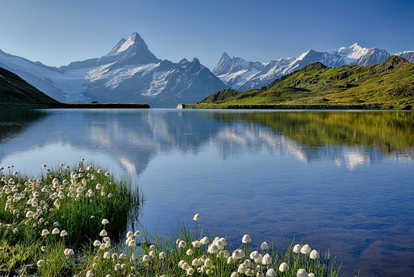 Po christmasach heimaty, czyli Wiosna w pełni