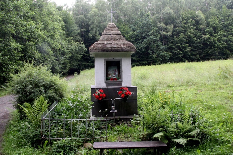 Nadleśnictwo Brzesko z leśną galerią, czyśćcem i skarbami sprzed wieków