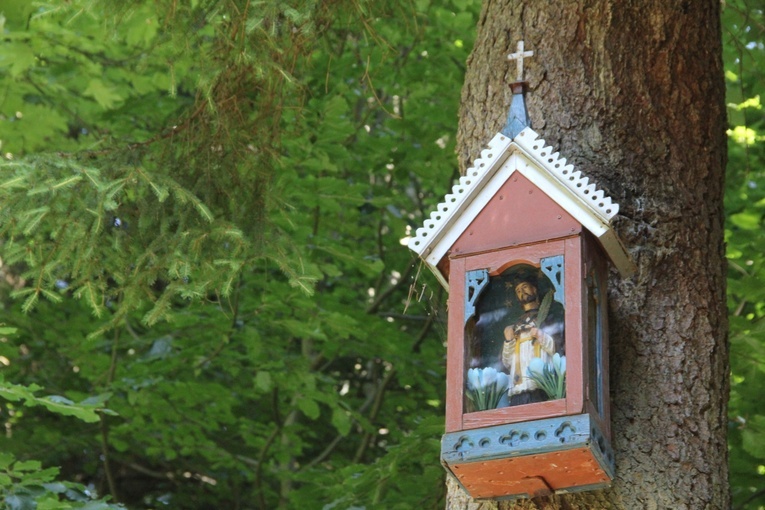 Wyskitna. X Pielgrzymka do św. Jana w Wielkim Lesie