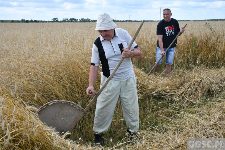 Białków. "Jak to z chlebem było?"