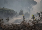 Portugalia: Ewakuacja ludności i zwierząt pod Lizboną z powodu pożaru lasów i łąk