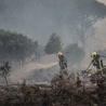 Portugalia: Ewakuacja ludności i zwierząt pod Lizboną z powodu pożaru lasów i łąk