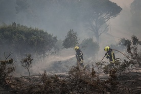 Portugalia: Ewakuacja ludności i zwierząt pod Lizboną z powodu pożaru lasów i łąk