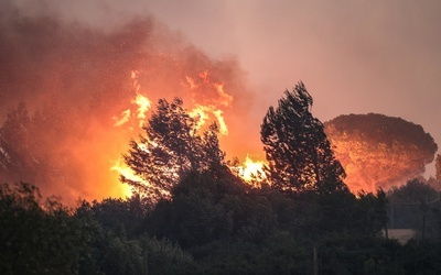 Portugalia: Co najmniej 13 rannych w pożarze lasów i łąk pod Lizboną