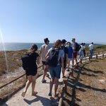 W podróży i Castelo de Neiva