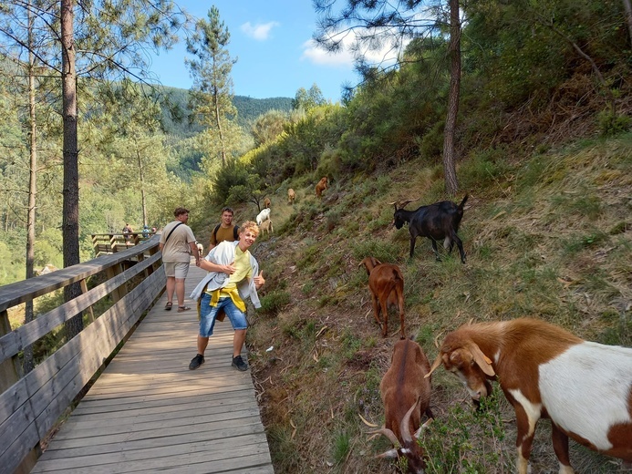 W drodze na spotkanie z papieżem