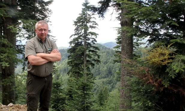 Góry, niedźwiedzie i setki tysięcy turystów