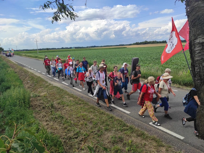 Pielgrzymka z drzewa