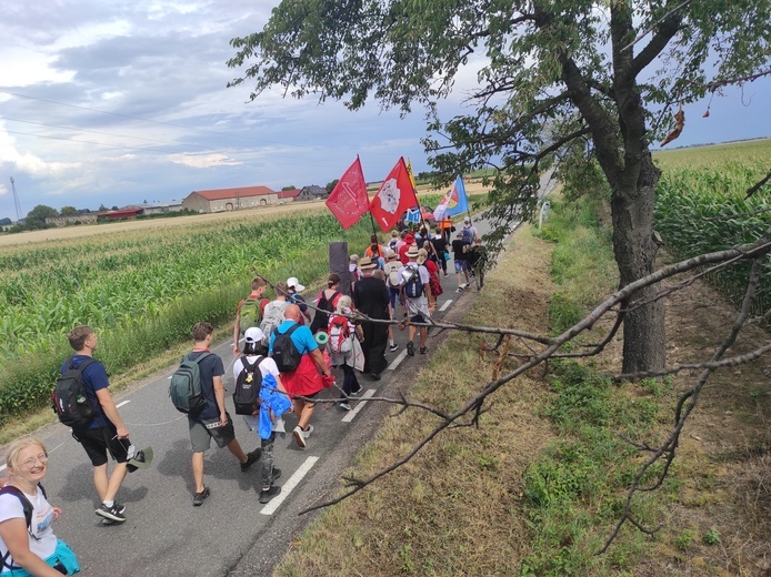 Pielgrzymka z drzewa