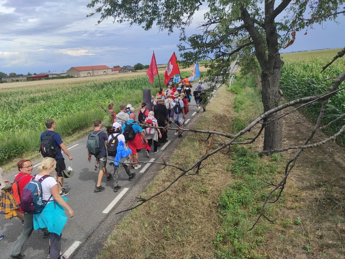 Pielgrzymka z drzewa