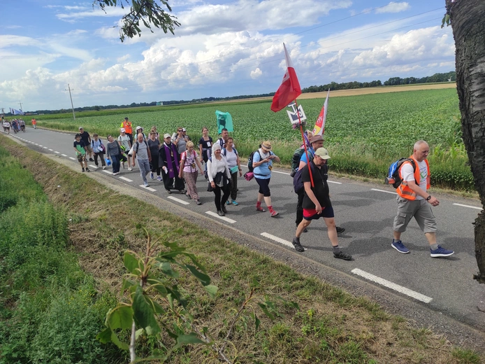 Pielgrzymka z drzewa