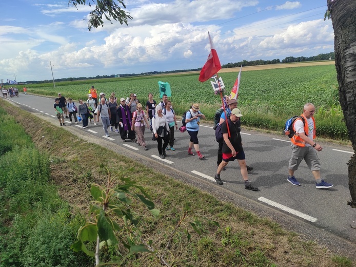 Pielgrzymka z drzewa