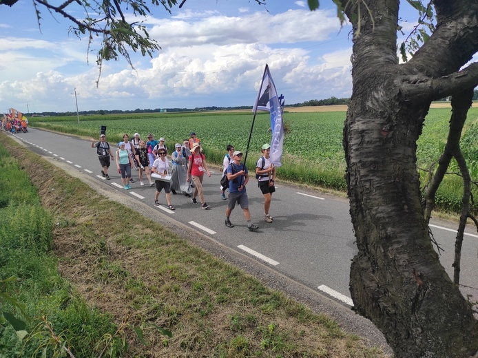 Pielgrzymka z drzewa