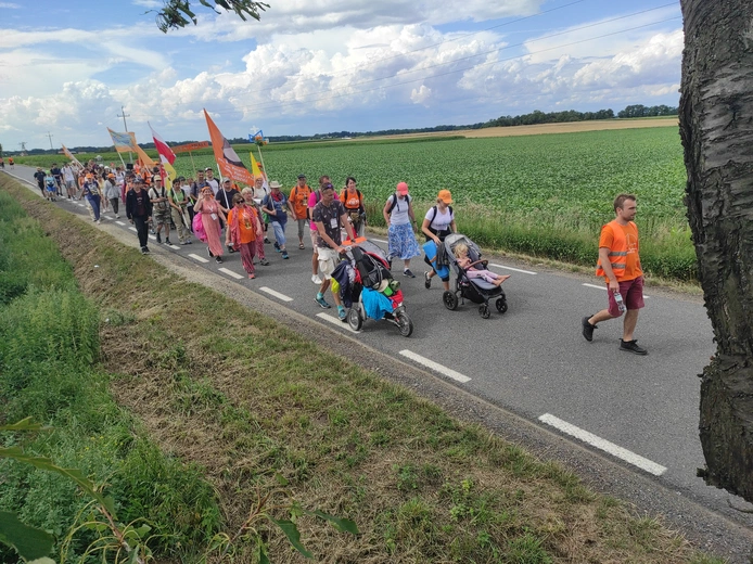 Pielgrzymka z drzewa