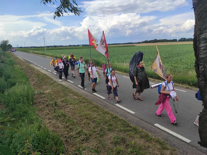 Pielgrzymka z drzewa