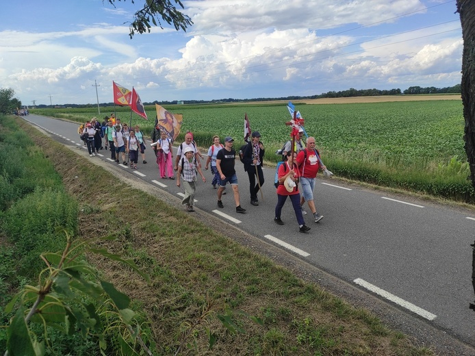 Pielgrzymka z drzewa