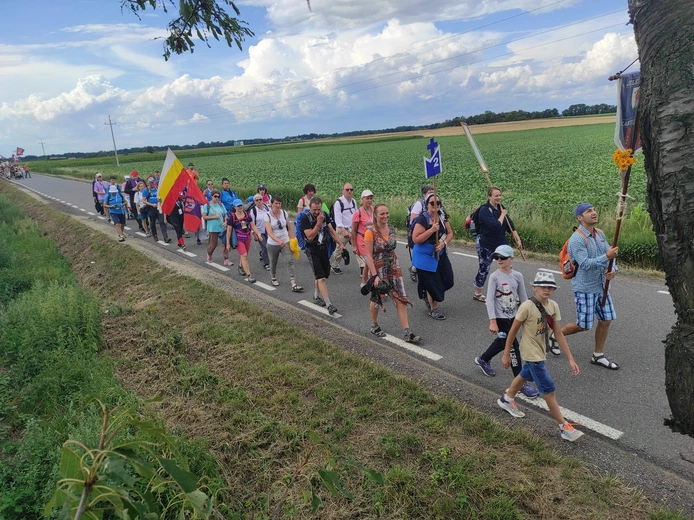 Pielgrzymka z drzewa