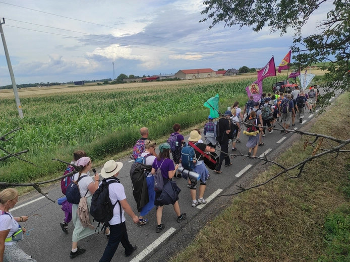 Pielgrzymka z drzewa