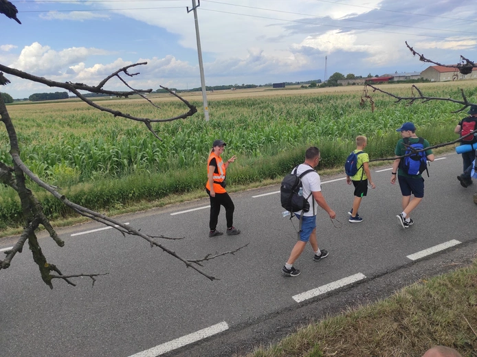 Pielgrzymka z drzewa