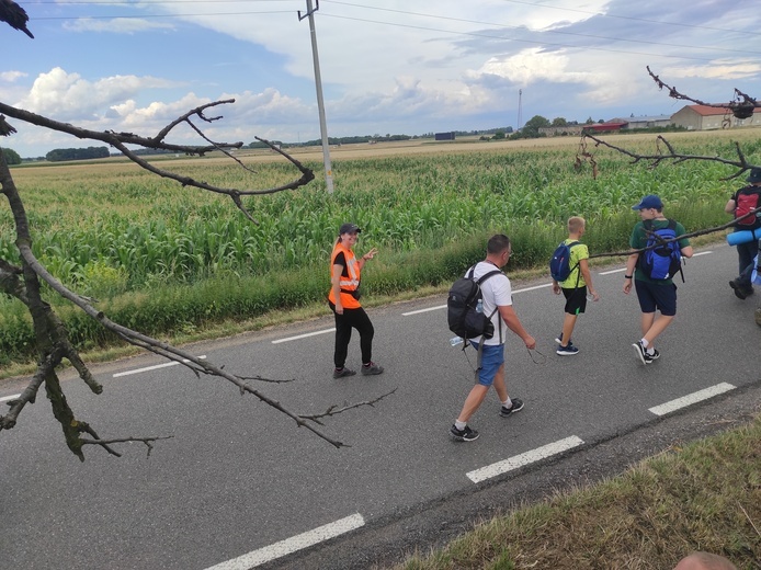 Pielgrzymka z drzewa