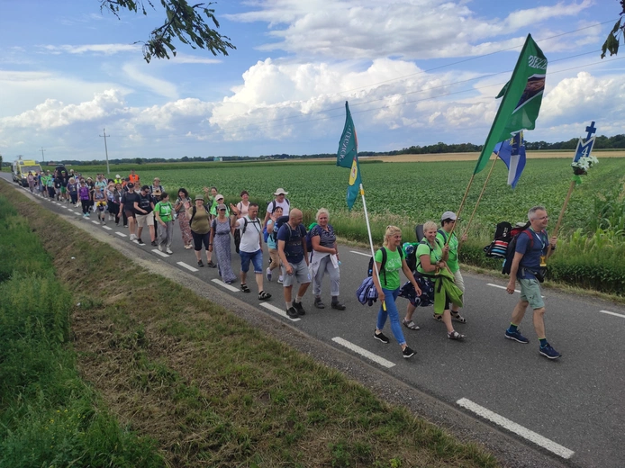 Pielgrzymka z drzewa
