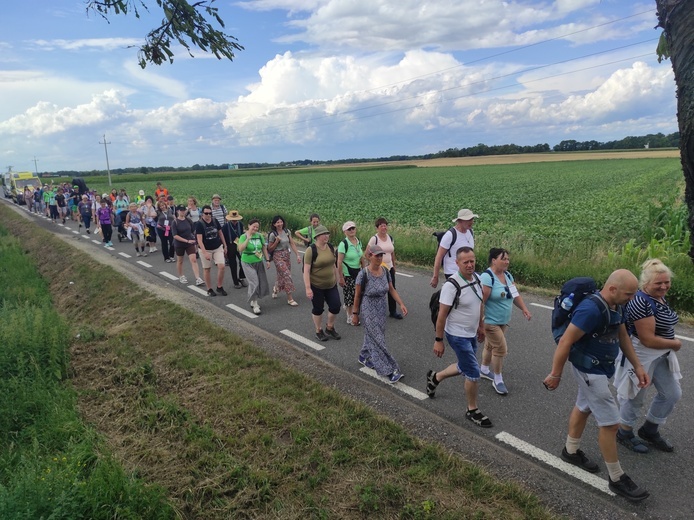 Pielgrzymka z drzewa