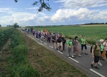 Pielgrzymka z drzewa