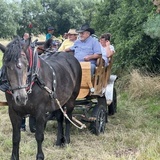 Furmany. VI Zlot Furmanek