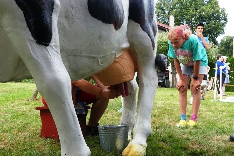 Piknik parafialny w Międzybrodziu Bialskim - 2023