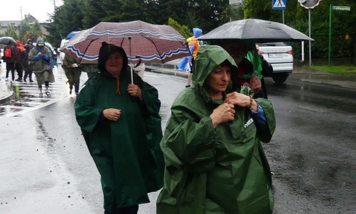 Grupa 2. - z Bielska-Białej Hałcnowa na Jasną Górę - 2023