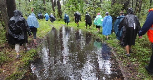 Wodnista droga do Maryi