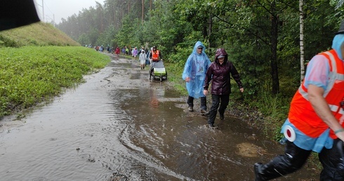 Herby. Deszczowe lasy pielgrzymki